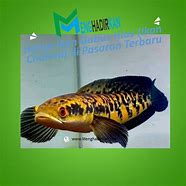 Harga Acuan Ikan Terbaru