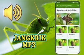 Suara Jangkrik Mp3 Durasi Panjang